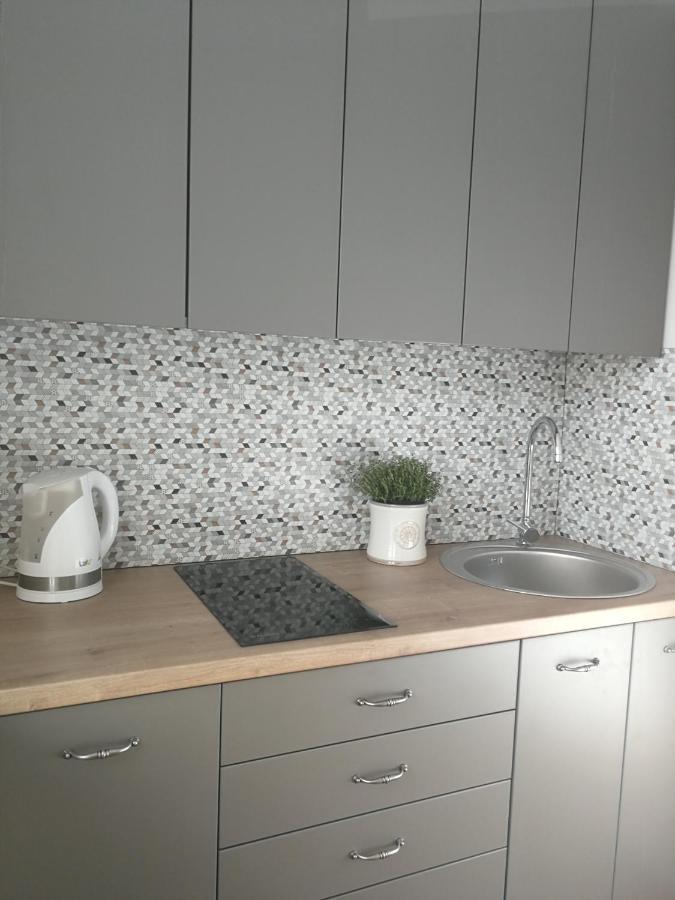 Central Apartments Nojus Druskininkai Ngoại thất bức ảnh