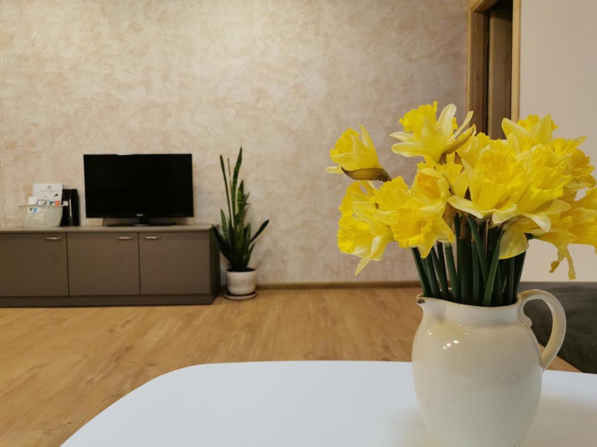 Central Apartments Nojus Druskininkai Ngoại thất bức ảnh