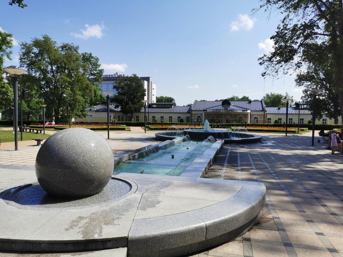 Central Apartments Nojus Druskininkai Ngoại thất bức ảnh